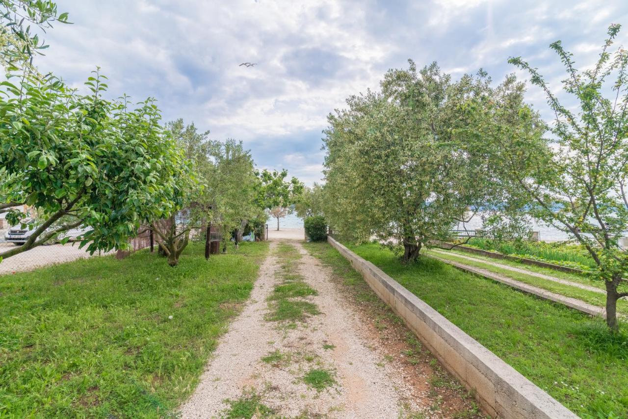Apartments Bepina Biograd Na Moru Exteriör bild
